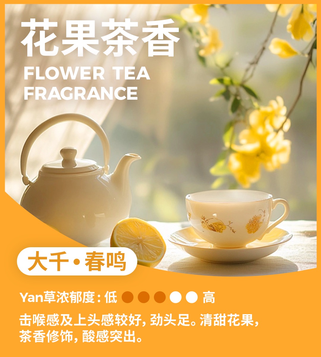 悦刻大千春鸣